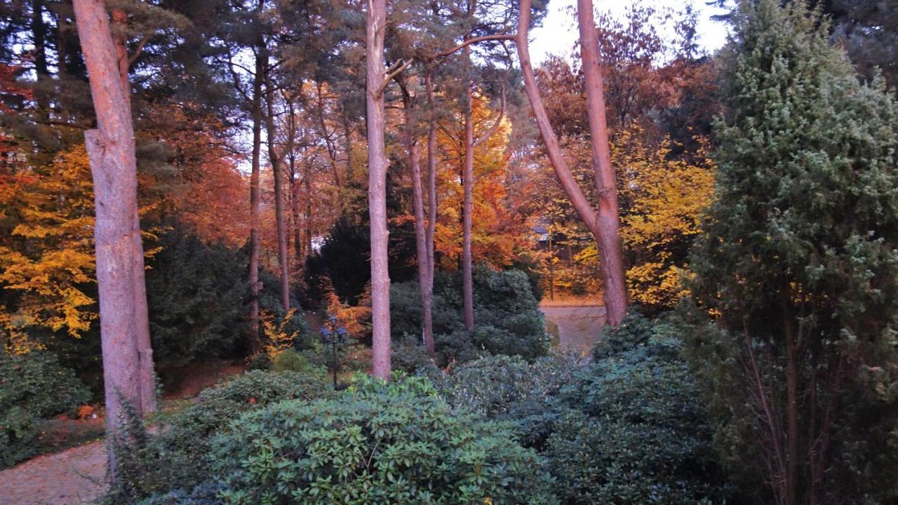 Ferienwohnung Kiefernblick-Wedemann 비스핑엔 외부 사진